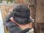 Immagine 1