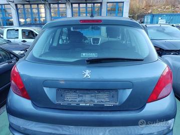 Portellone nudo PEUGEOT 207 del 2007