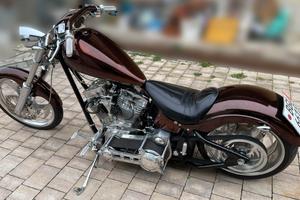 "The Thunder" ULTIMA PERFORMANCE CUSTOM BUILT BIKE