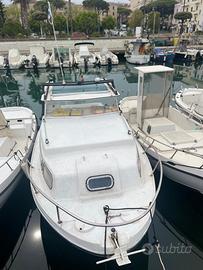 Pilotina cabinata cyberclass