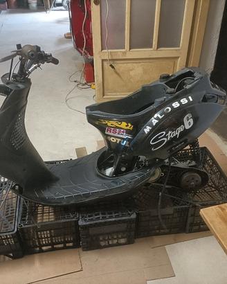 zip piaggio 