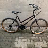 Mountain Bike Viscontea
