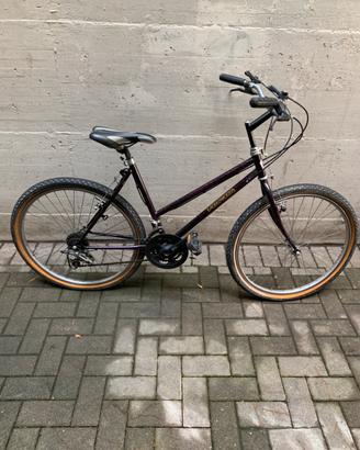 Mountain Bike Viscontea