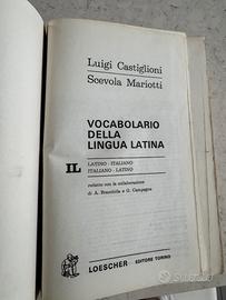 IL dizionario della lingua