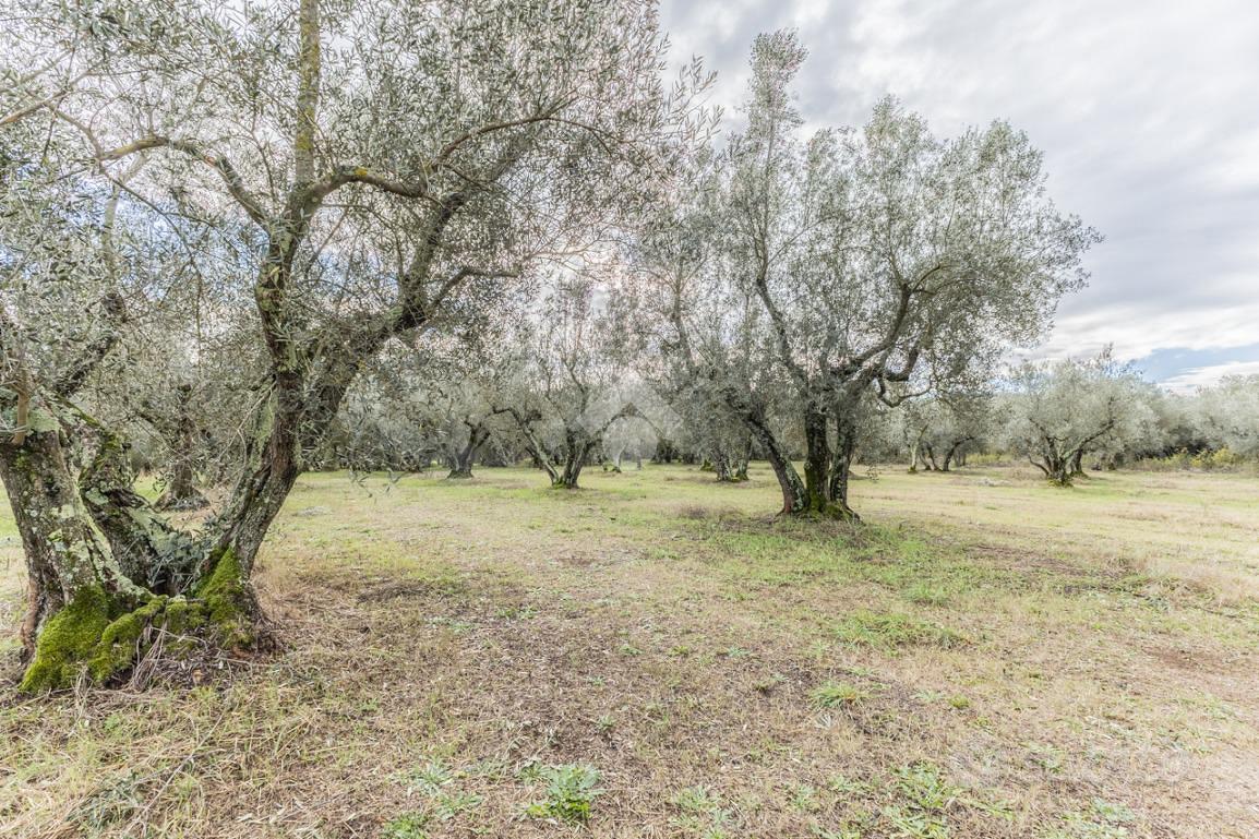 RUSTICO A VETRALLA - Vista 2