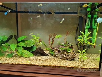 ACQUARIO ASKOL 68LT BIANCO