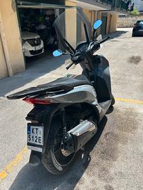 SH 300 SPORT 2019