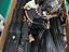 Immagine 4