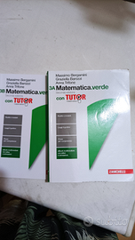 3a 3b matematica verde con tutor