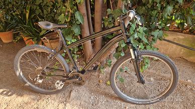 mountain bike nera uomo