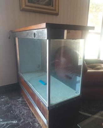 ACQUARIO