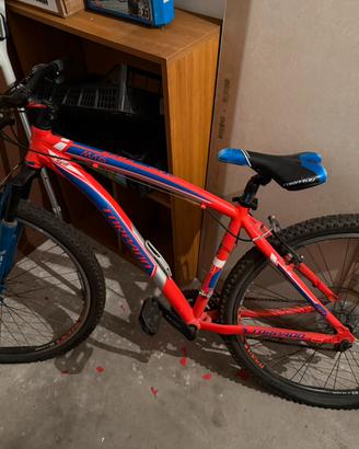 Bicicletta Mountain Bike Torpado Mars