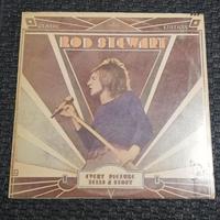LP VINILE DISCO LP ROD STEWART