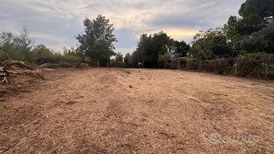 Terreno agricolo Agro Romano