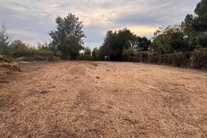 Terreno agricolo Agro Romano