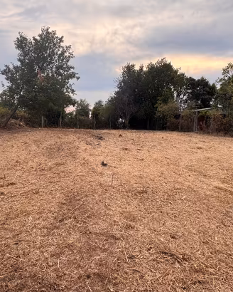 Terreno agricolo Agro Romano