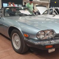 JAGUAR XJS V12