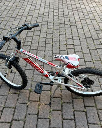 Bici Mtb Casadei 20”