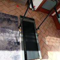 Tapirulan Toorx compact 