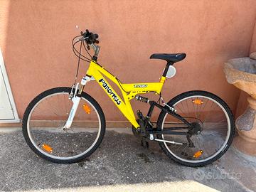 Mountain bike