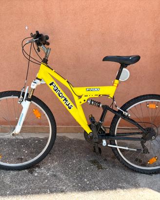 Mountain bike