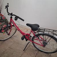 Bicicletta ragazza 