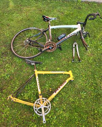 Bici da corsa Piton carbonio tutta Campagnolo 