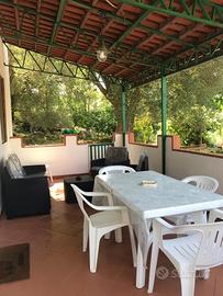 A palinuro per una vacanza relax