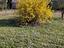 Immagine 23