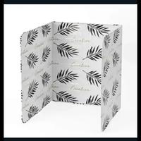 2 paraschizzi per cucina antischizzi