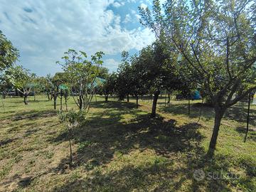 Terreno Agricolo 1200m²