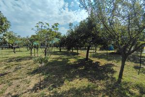Terreno Agricolo 1200m²