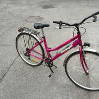 bicicletta