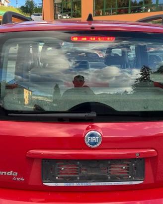 PORTELLONE PER FIAT PANDA 169 ANNO 2006