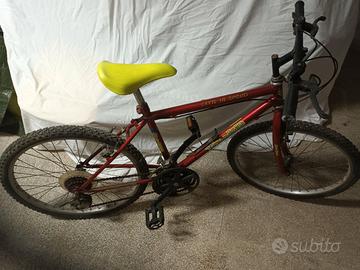 Bicicletta Mountain Bike