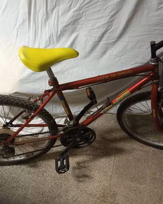 Bicicletta Mountain Bike