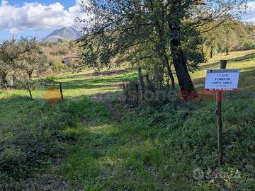 Terreno Residenziale Cervaro [Cod. rif 3274972VRG]