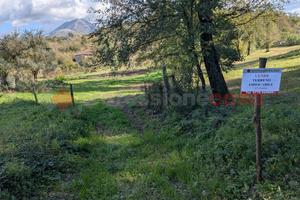 Terreno Residenziale Cervaro [Cod. rif 3274972VRG]