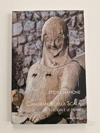 Cangrande della Scala. I luoghi e le storie