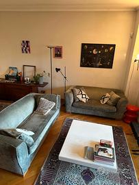 Coppia divani grigi Flexform