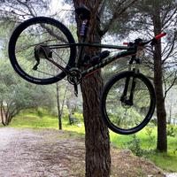 Mtb 29