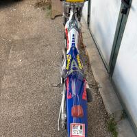 Beta trial rev 270