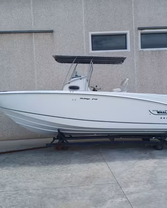 BOSTON WHALER OUTRAGE 240 + 2X150 HP YAMAHA (2010)