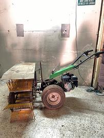 scopatrice olive+defogliatrice