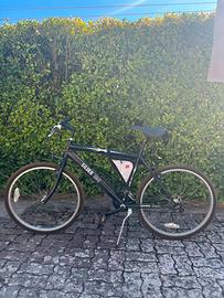 Bicicletta da passeggio