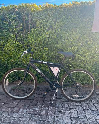 Bicicletta da passeggio