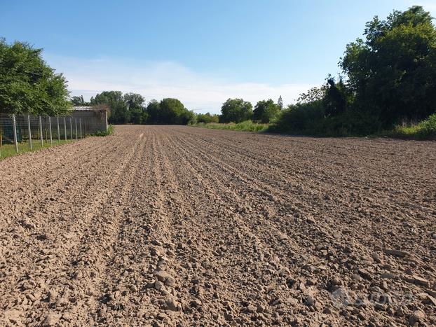 TERRENO AGRICOLO a PORTOVIRO