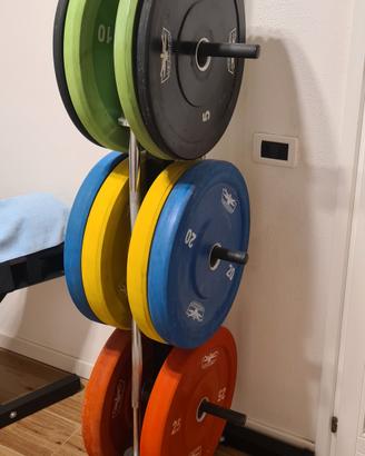 set pacco pesi con bilanciere Ez e Olimpico