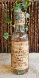 Macallan 12 Year Old