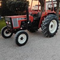 Trattore fiat 60- 66 LP